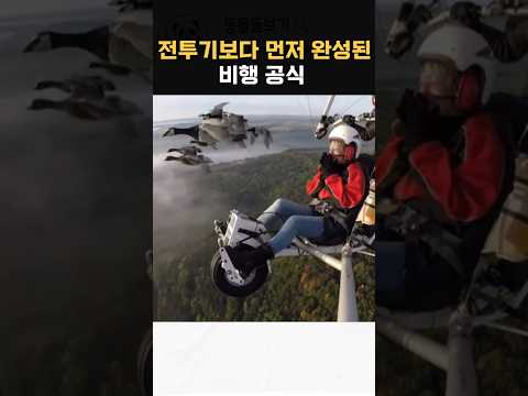 우리가 이제 이해한 기러기의 비행