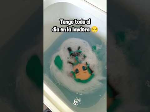 Miku fue lavada #humor #comedia #memes