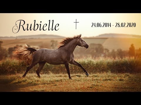 Rubielle 24.06.2014 - 28.02.2020