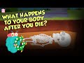 Understanding the Decomposition Process