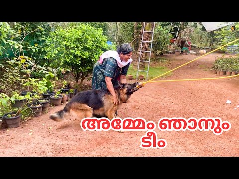 ഓണക്കളികൾ തുടങ്ങുകയാണ് 😍😂|LeoLaika|Onam|Chottuz