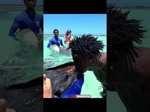 IShowSpeed Berenang Bersama Ikan Pari