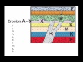 Geological Principles and Dating Methods