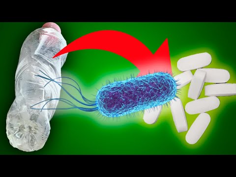CONVERTIR PLASTICO EN PARACETAMOL CON BACTERIAS
