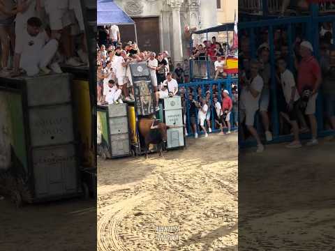 Salida De Este Imponente Toro Llamado “Sabroso” De La Ganadería (Montalvo) En Burriana #shorts
