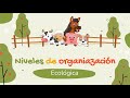Niveles de Organización Ecológica
