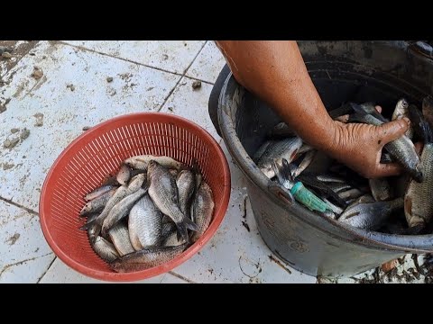 Alhamdulillah!!Dibalik musibah BANJIR besar//masih bisa BERBAGIJ dan MAKAN enak