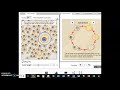 Cell Division and Mitosis Concepts