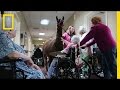 Animal-Assisted Therapy in Skilled Nursing Facilities