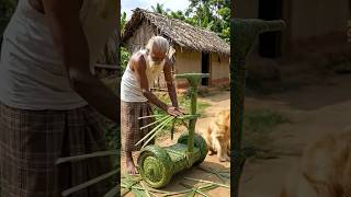 Segway for My Dog | Amazing Handmade Coconut Leaf Craft 🌿  #coconutleaf #shorts #handcrafted #dog