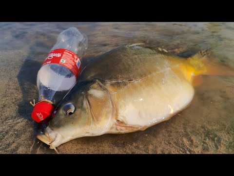 Simple Tricks to Catch a LOT of Fish with a Trash Bottle Trap
