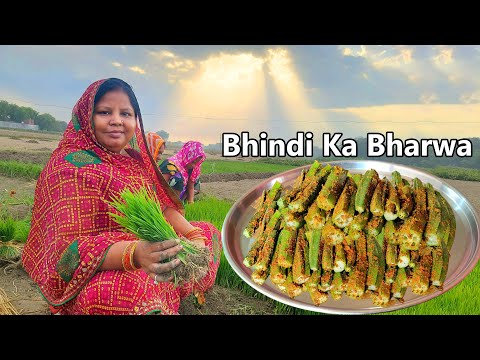 भिंडी का भरवा अगर ऐसे बनाएंगे तो उंगलियां चाटते रह जाएंगे Bhindi ka Bharwa | Instant Bharwa Bhindi