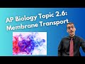 Cell Transport Mechanisms in Biology