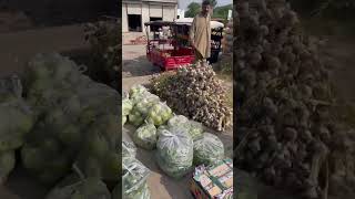 عمر سے نہیں فکر سے بوڑھا ہوتا ہے انسان