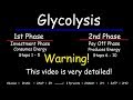 Glycolysis Concepts and Enzymes