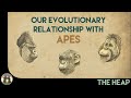 Evolutionary Biology Concepts and Evidence