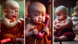 My Kids Moments Live Stream