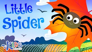 Little Spider Song for Kids
