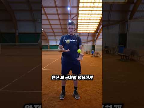 테니스공 심폐 소생술