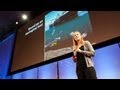 Ocean Food Chains and Ecosystem Dynamics