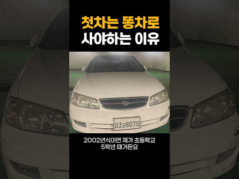 첫차로 벤츠 BMW 사지마세요