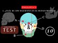 Cuestionario de Anatomía y Fisiología: Huesos del Cráneo