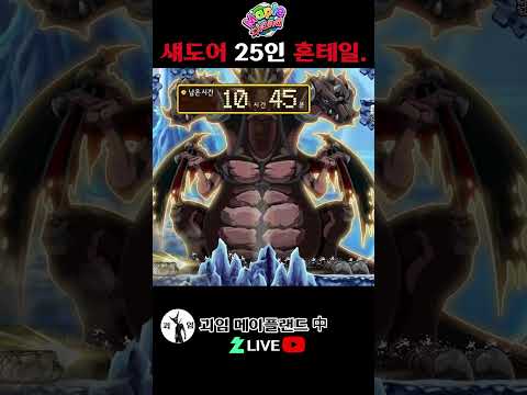섀도어 25인 혼테일. 메이플랜드