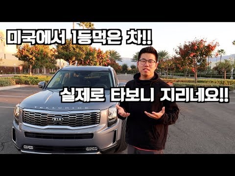 기아 텔루라이드 리뷰입니다! 솔직한 리뷰!