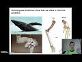 Exploring Evidence of Evolution