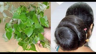 ৩ দিনেই আপনার চুল এত লম্বা হবে যে পা ছাড়িয়ে যাবে |The Best Kept Secret To Growing Long Healthy Hair