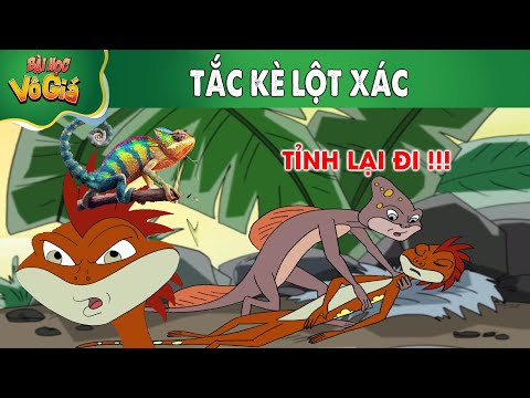 TẮC KÈ LỘT XÁC - PHIM HOẠT HÌNH - QUÀ TẶNG CUỘC SỐNG - HOẠT HÌNH HAY NHẤT 2024