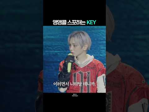 서프라이즈라곤 찾아볼 수 없는 앵앵콜ㅋㅋㅋ