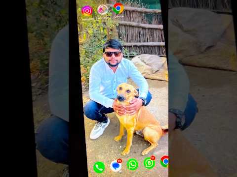 Mere Dog Par Tendua Hamla Kar Dega(6)😢🦮||• #minivlog #shortsvideo #trending