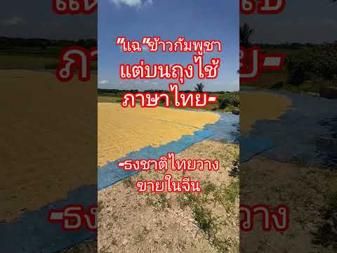 แฉ"ข้าวกัมพูชา" แต่บนถุงใช้ภาษาไทย-ธงชาติไทยวางขายในจีน#เรื่องเล่าเช้านี้