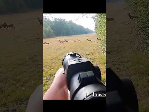 охота на оленей очень близкоdeer hunting 🦌 #caccia #chasse #охота #охотанаоленя