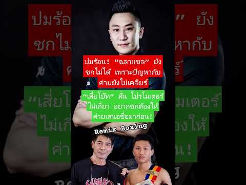 ฉลามชลยังติดค่าย! #ปัญหานักมวยกับค่าย #เสี่ยโบ๊ทพูดแล้ว #ฉลามชลคัมแบ็คไหม