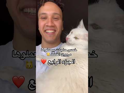 خمس حاجات بيعملوها مربيين القطط 🐱 الجزء الرابع ❤️ #يوميات_مرعى_براو #سكر_سووكر #مرعى_و_سكر #cats