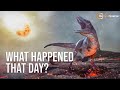 Dinosaurs and Asteroid Impact Effects