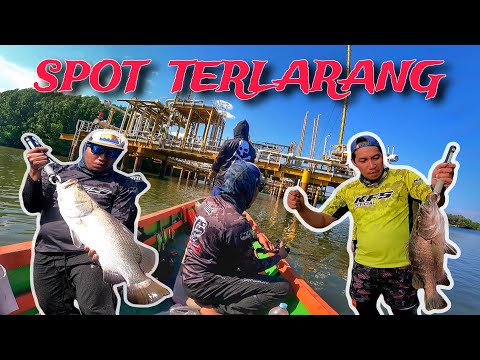 para pemancing dari Kalimantan Selatan rela menempuh perjalanan jauh demi tarikan BLACKBASS Mahakam