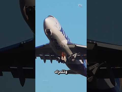 رجلان يختبئان داخل عجلات طائرة 😱 ماذا حدث لهما في الجو؟