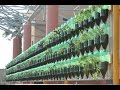 Student Council Green Wall Project