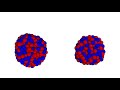 Nuclear Forces and Reactions