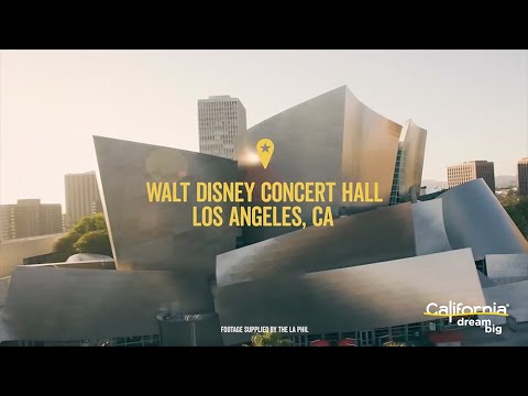 Check out the Disney Concert Hall in Los Angeles!
