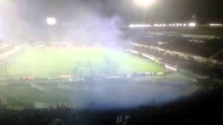 coro "solo per te" Fiorentina-Udinese 2-0 11/02/2014