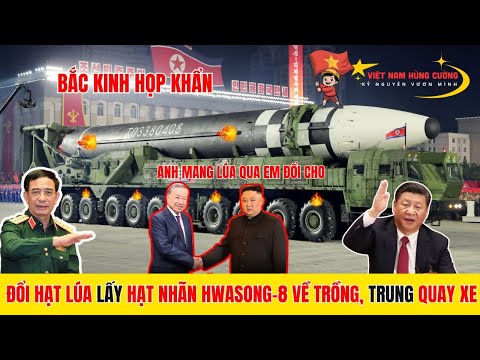 Bắc Kinh Họp Khẩn: TBT Tô Lâm thăm Triều Tiên: Mang Hạt Lúa đổi Hạt Nhãn Hwasong-8, Cán Cân Đã Đổi