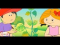 Plant Biology and Photosynthesis Concepts