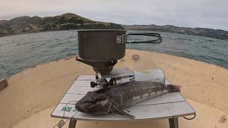 Catch and Eat RAW FISH on Dinghy