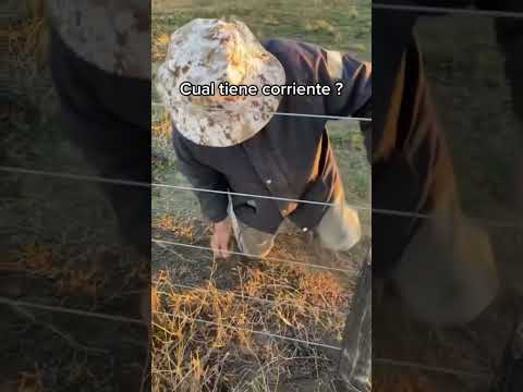 ME DIO ALTA PATADA!