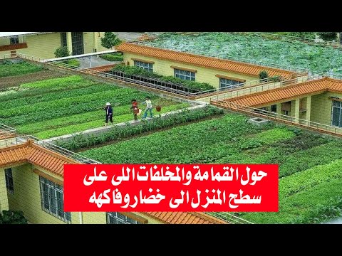 حول القمامة والمخلفات اللى على سطح المنزل الى خضار وفاكهه