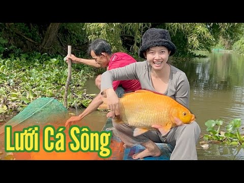 Cô Gái Quê ✅ Thấy Cá Bị Hất Nước Hai Cậu Cháu Chèo Xuồng Giăng Lưới